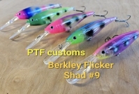 Click to view Pro Tackle Fishing Customs Flicker shad #9