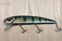 Click to view Musky Mania 10 inch Jake Live Image